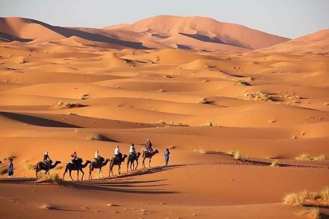 Merzouga Camel Trekking Camp Εξωτερικό φωτογραφία